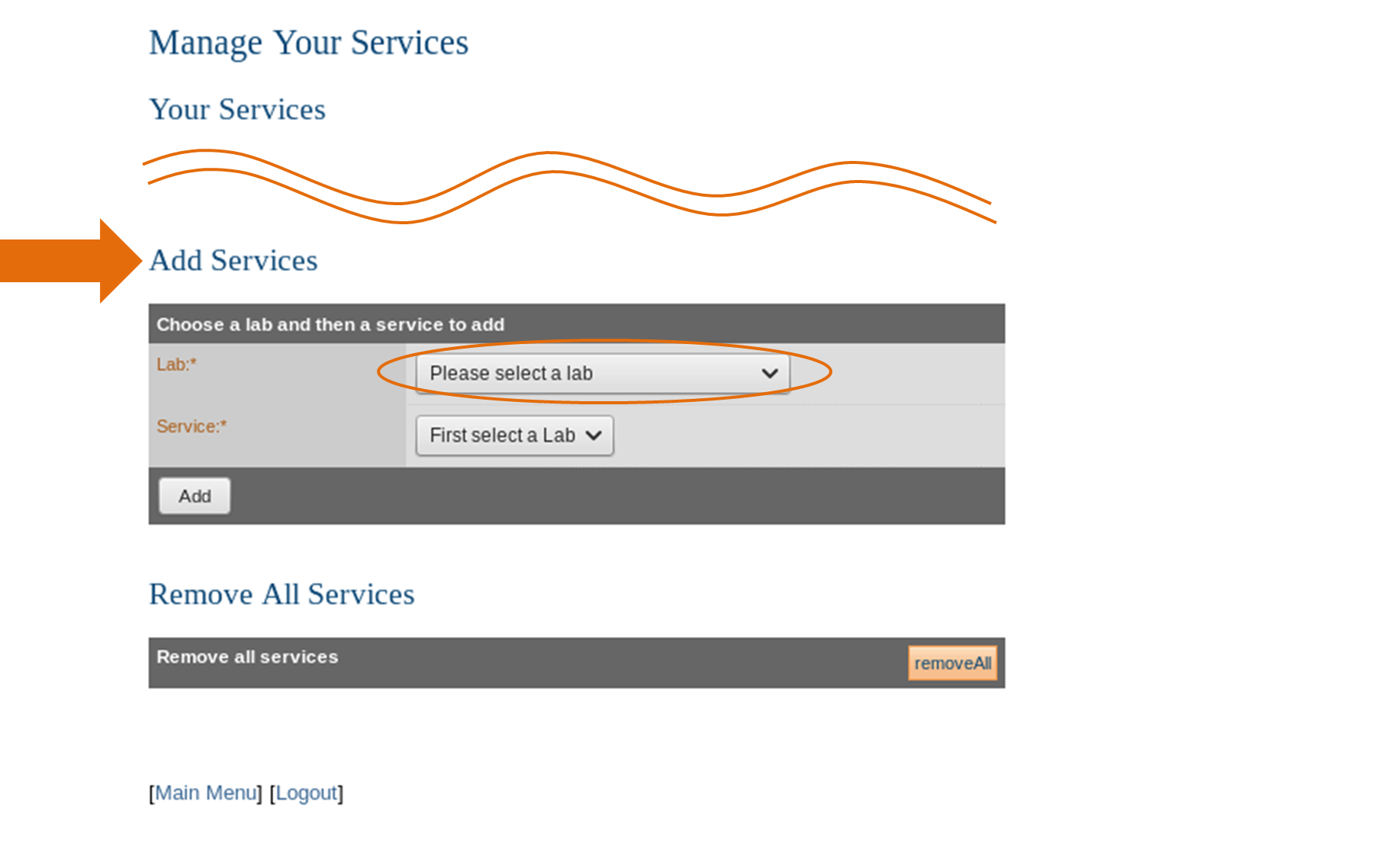 Screenshot of Manage Your Services in MUMMS