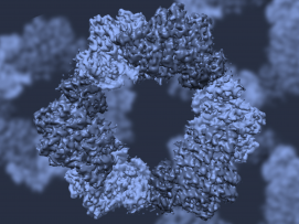 Nanoscale image of an enzyme